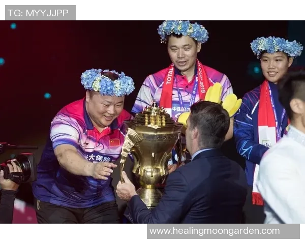 杭州羽毛球队战术解析:构建高效控制体系的成功之道