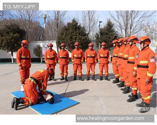 武汉排球队的蜕变之旅世界锦标赛背后的奋斗与坚持