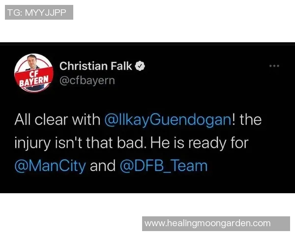 武汉网球队速度表现分析及其对比赛成绩的影响探讨